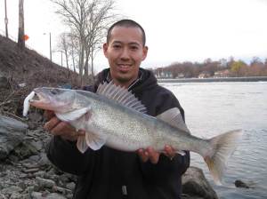 Aki Mori holds a 24.5 inch walleye