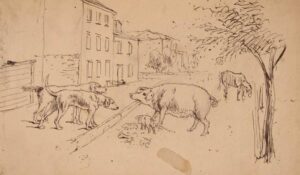 This Philadelphia street scene, with dogs facing off with pigs for a pile of tasty garbage, was captured by artist Augustus Kollner in 1844, but would have been very familiar to 18th-century Philadelphians.