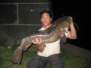 Club member Enoch Lee holds an invasive flathead catfish