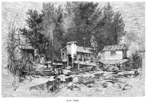 Black-and-white image showing three small houses, some small boats, weeds, and trees
