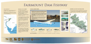 The Fairmount Dam Fishway sign, detailing how the fishway works and showing maps and images of fish migration and barriers along the Schuylkill River.