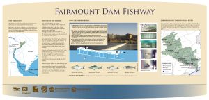 The Fairmount Dam Fishway sign, detailing how the fishway works and showing maps and images of fish migration and barriers along the Schuylkill River.