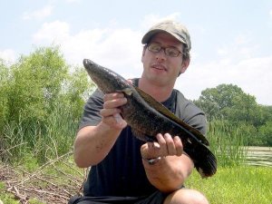 fishing-Louis_Cook_2