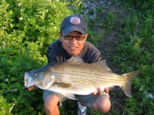 fishing-Tan_Bui_2