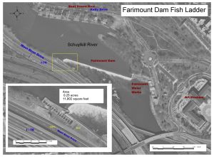 Overhead image of the Fairmount Dam Fishway and the surrounding area, including the Art Museum, Boathouse Row and the Fairmount Water Works